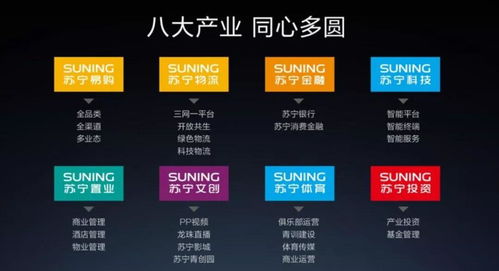 苏宁易购复牌涨停的背后 物流与技术驱动的危机应对与未来挑战